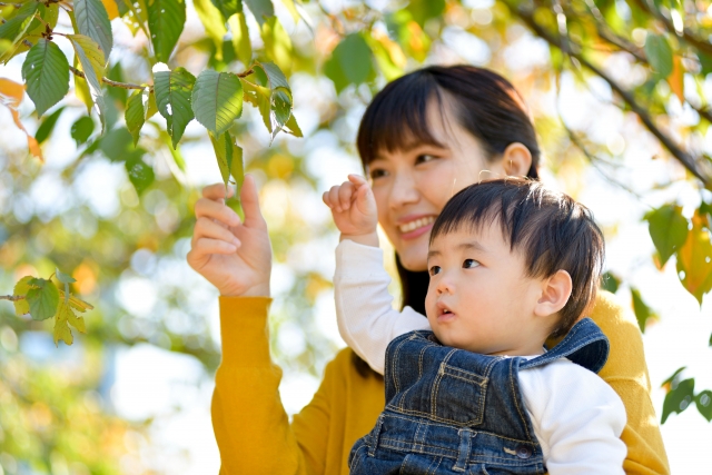 1 歳 喋ら ない