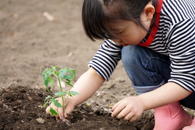 子供の目線に立つ・子供優先