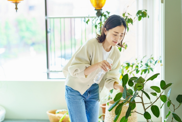 構わず、自分の好きなことをする